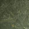 Olive Slate
