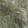 Green Marble
